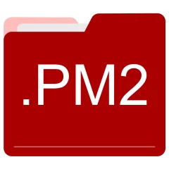PM2 file format