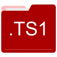 TS1 file format