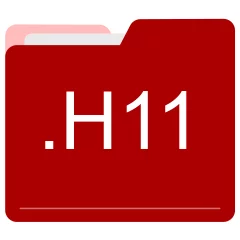 H11 file format