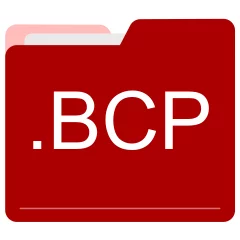 BCP file format
