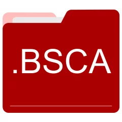 BSCA file format