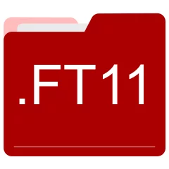 FT11 file format
