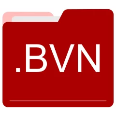 BVN file format