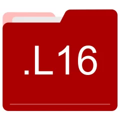 L16 file format