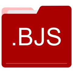 BJS file format