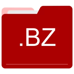 BZ file format