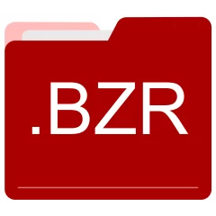 BZR file format