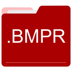 BMPR file format