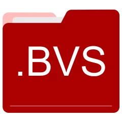 BVS file format