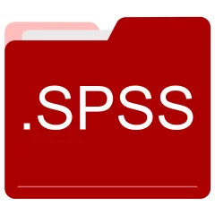 SPSS file format