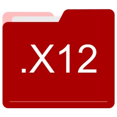 X12 file format