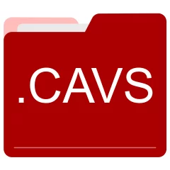 CAVS file format