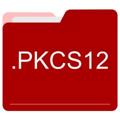 PKCS12 file format