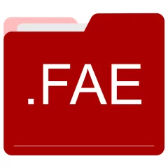 FAE file format