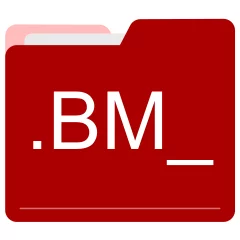 BM_ file format