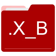 X_B file format