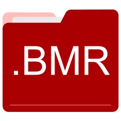 BMR file format
