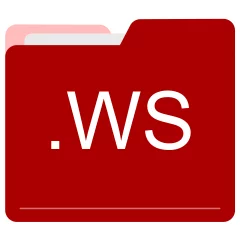 WS file format